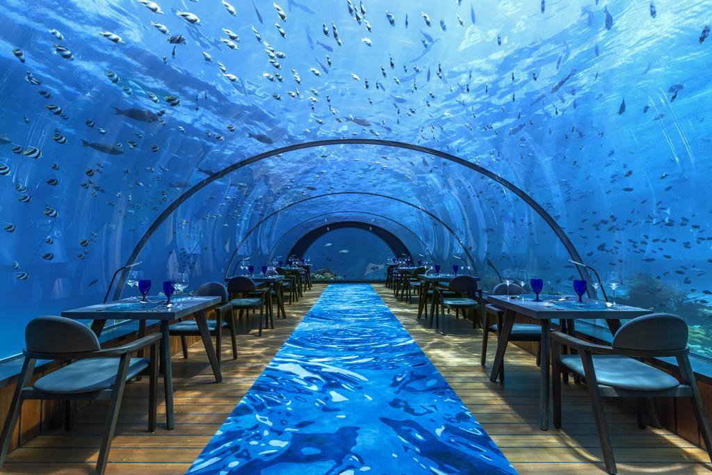 Hurawalhi Island Resort Extérieur photo
